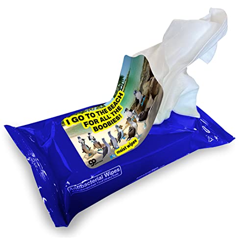 I Go to the Beach for Boobies Wipes