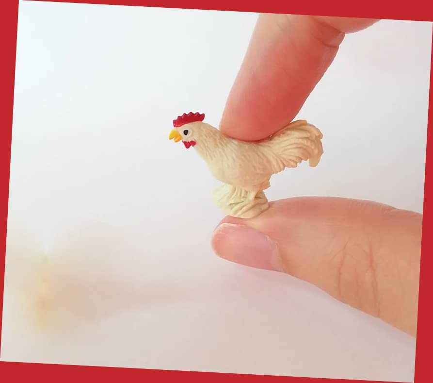 Cock N Balls Bath Time Adventure Kit