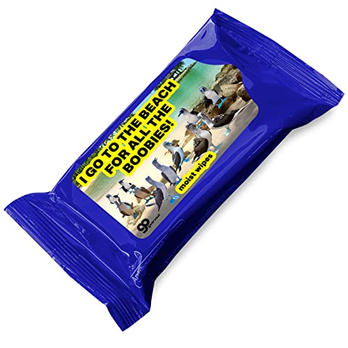 I Go to the Beach for Boobies Wipes