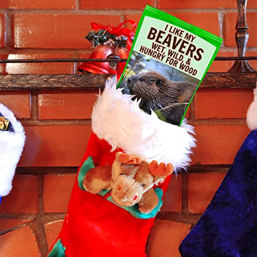 I Like Beavers Cotton Candy