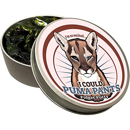 I Could Puma Pants Fidget Putty