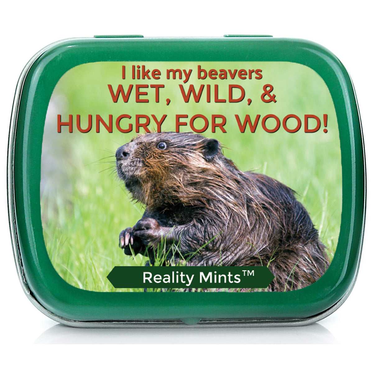  GearsOut Been Munching Beaver Mints Tin Peppermints Breath  Fresheners for Mens Stocking Stuffers for Husband Gag Gifts Small Candy  Boxes Pocket Pack : Grocery & Gourmet Food