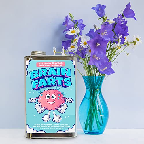 Brain Farts Empty Tin Prank Gift Box