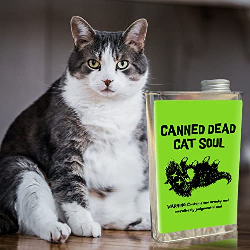 Canned Dead Cat Soul