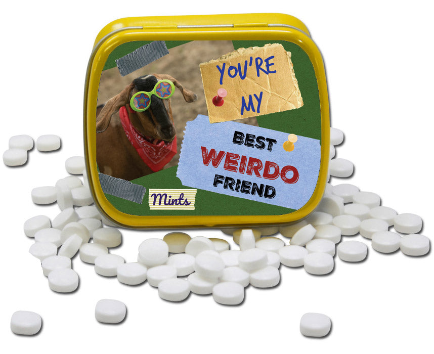 You're My Best Weirdo Friend Mints