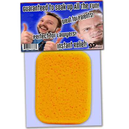 The Fun Sponge