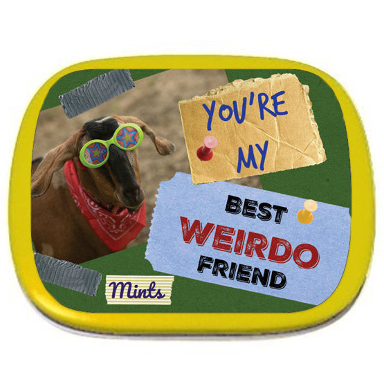 You're My Best Weirdo Friend Mints