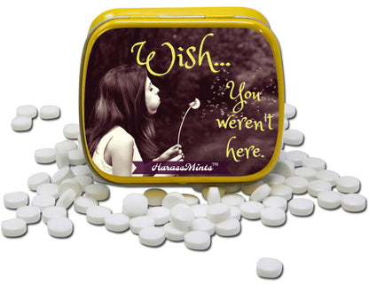 Wish You Weren't Here Mints